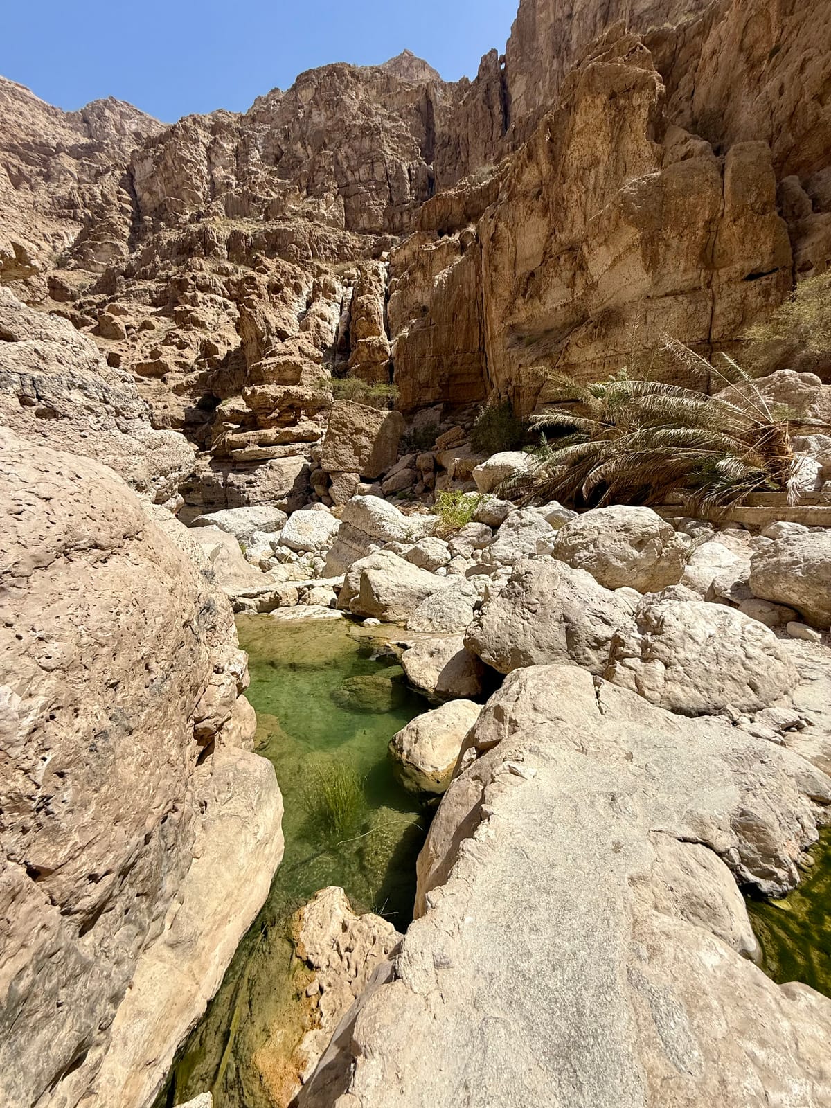 Oman - 6 jours - Escapade entre détente, villages et montagnes